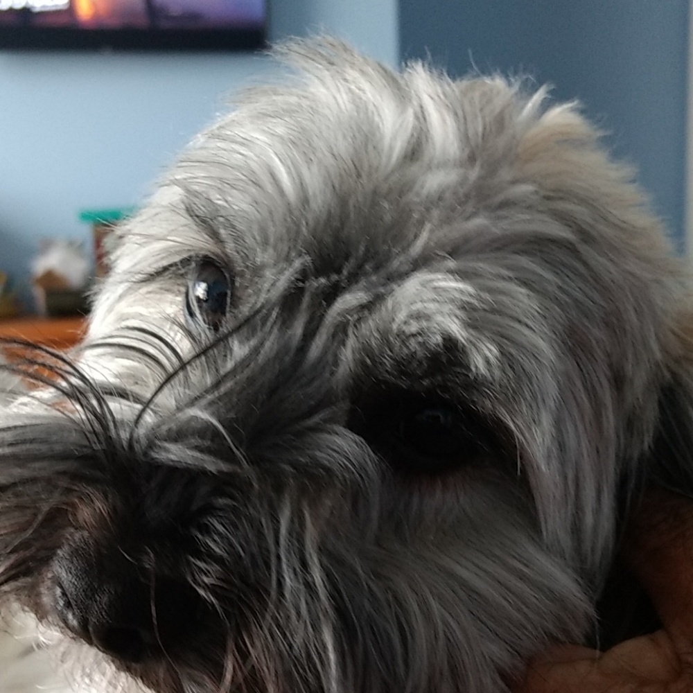 Meet your Posher, Winona